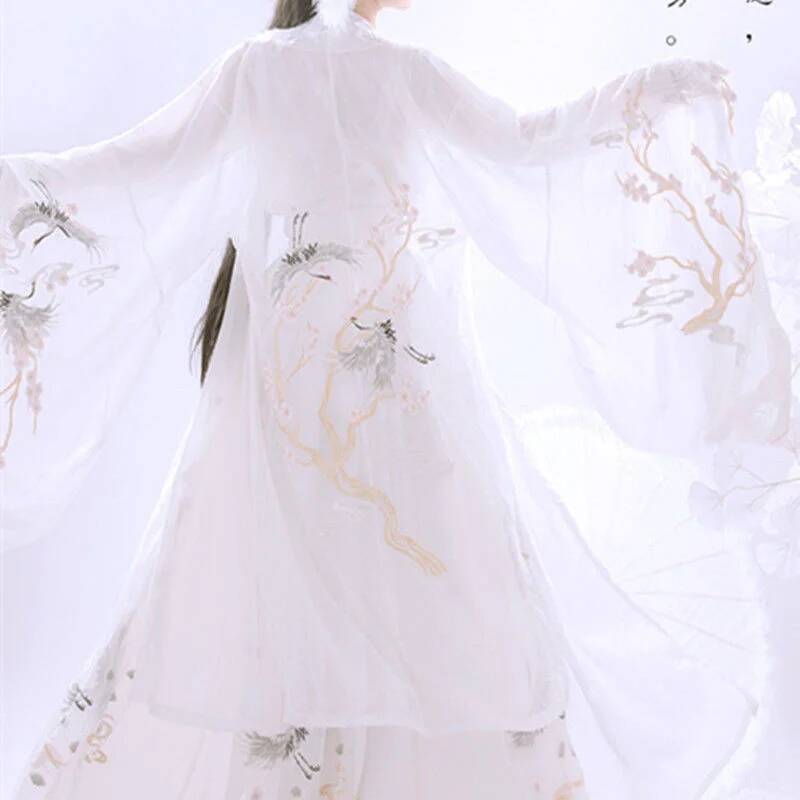Chinese Ancient Hanfu Women's  - огляд і ціна Embroidery Shirt